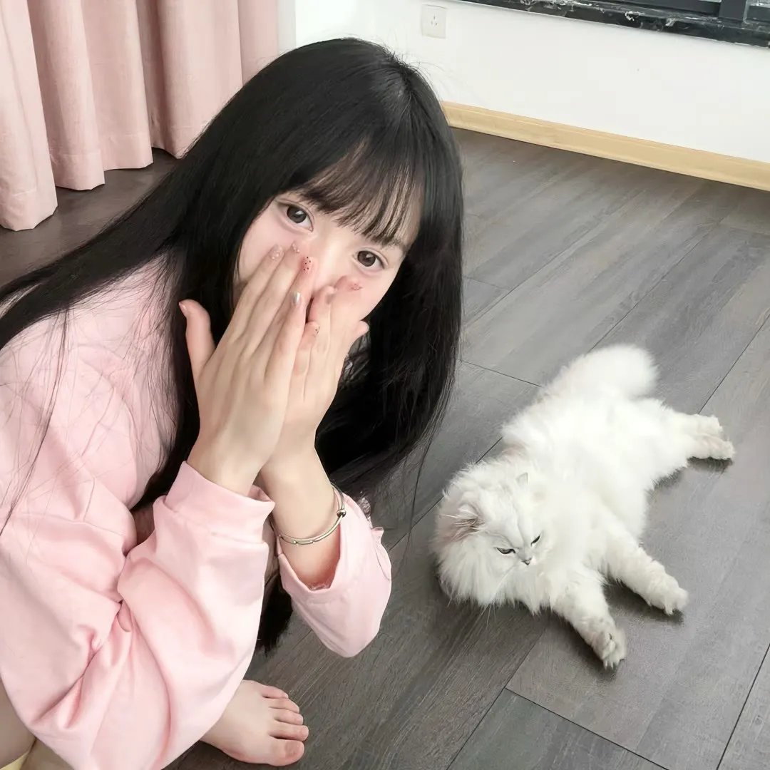 画舫情歌
